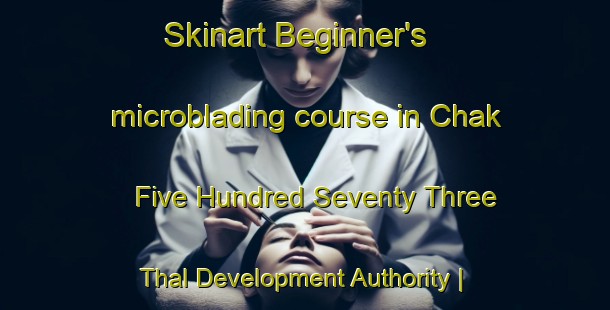 Skinart Beginner's microblading course in Chak Five Hundred Seventy Three Thal Development Authority | MicrobladingTraining | MicrobladingClasses | SkinartTraining-Pakistan